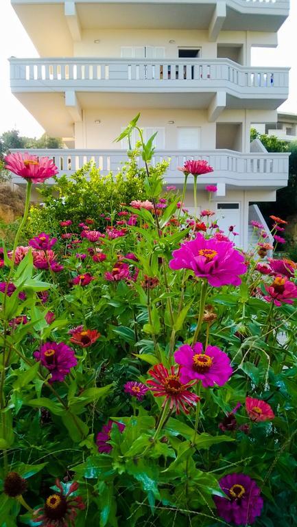 Appartamento Domus Creta Kato Daratso Esterno foto